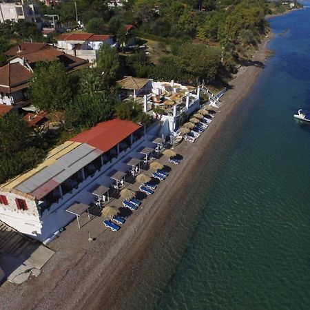 Taradella Hotel Alissos Zewnętrze zdjęcie