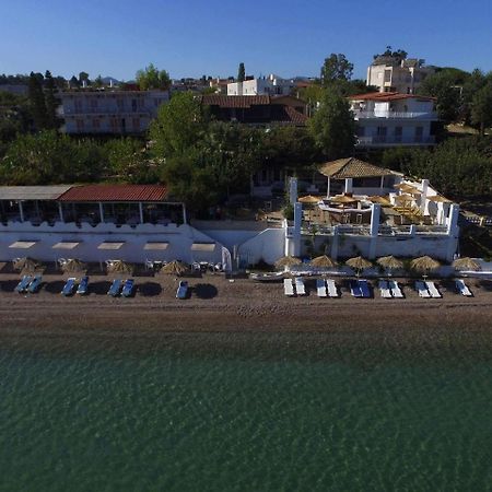 Taradella Hotel Alissos Zewnętrze zdjęcie